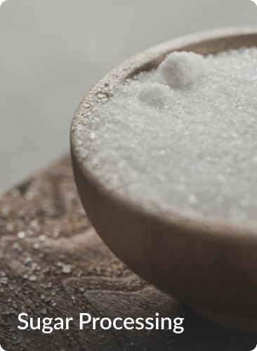 Sugar Processing