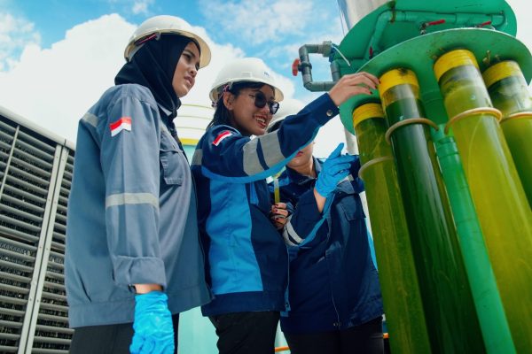 Fotobioreaktor luar ruangan untuk Penangkapan Karbon